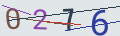 verifycode